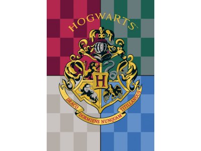 Harry Potter fleecová deka