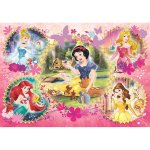 Princess puzzle - skladačka