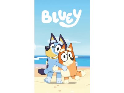 Bluey fleecová deka