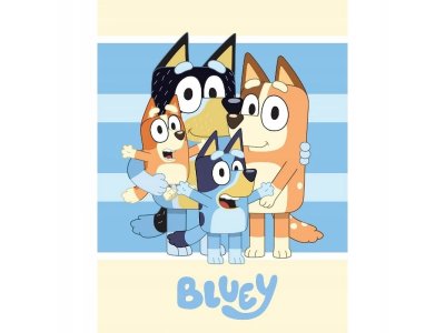 Bluey fleecová deka